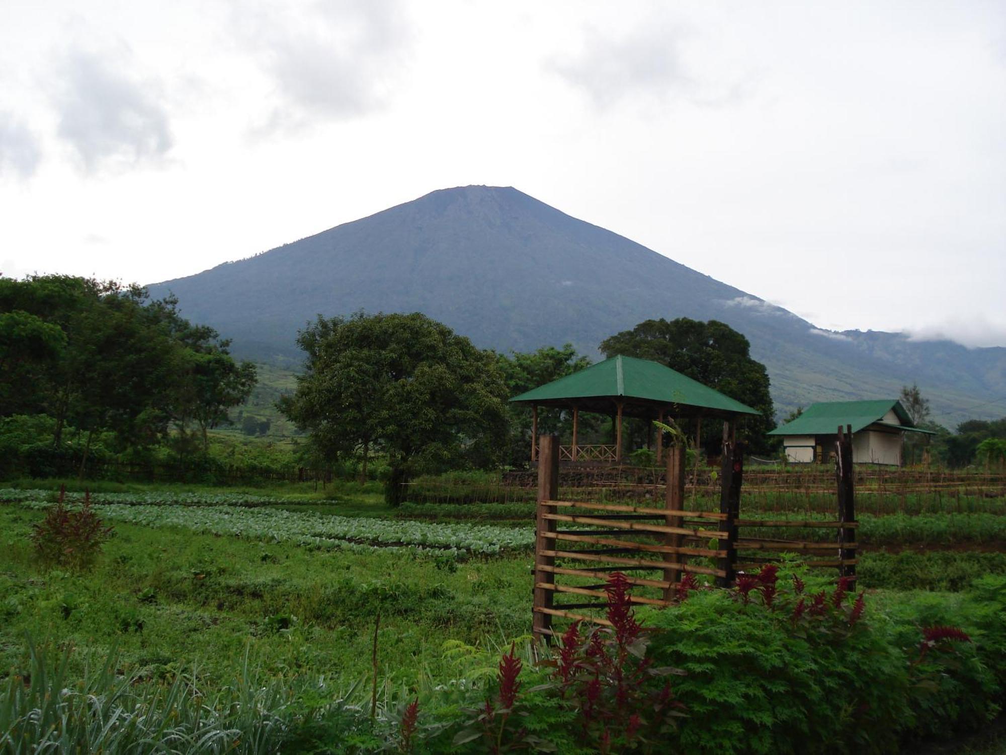 Lembah Rinjani Villa & Resto Syariah By Ecommerceloka ซัมบาลัง ลาวัง ภายนอก รูปภาพ